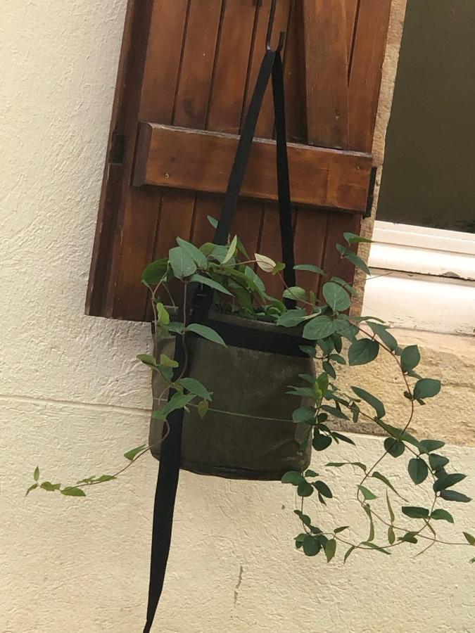 Apartmán Le Jardin Wilson Dijon Exteriér fotografie
